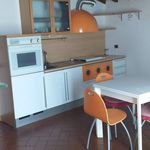Rent 2 bedroom apartment of 45 m² in Florence