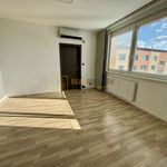 Rent 2 bedroom apartment of 44 m² in Uherské Hradiště