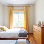 Rent 2 bedroom apartment in Maia