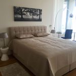 Rent 5 bedroom house of 393 m² in Marbella