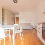 Affitto 1 camera appartamento di 47 m² in Udine