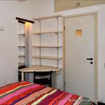 Affitto 1 camera appartamento di 36 m² in Arezzo
