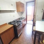 Rent 3 bedroom apartment of 120 m² in Catanzaro