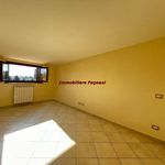 Rent 4 bedroom apartment of 110 m² in Latiano