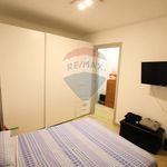 Affitto 2 camera appartamento di 50 m² in Garbagnate Milanese