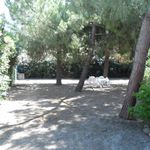 Rent 1 bedroom apartment of 50 m² in San Benedetto del Tronto
