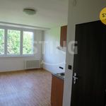 Rent 1 bedroom apartment of 22 m² in Ostrava
