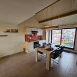 Appartement de 55 m² avec 1 chambre(s) en location à Boussu