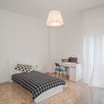 Rent a room in Florence