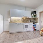 Rent 3 bedroom apartment of 61 m² in Radnice