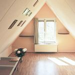 Rent 3 bedroom apartment of 48 m² in 's-Gravenhage