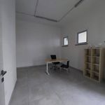 Rent 3 bedroom apartment of 80 m² in Caserta