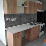 Rent 1 bedroom apartment of 65 m² in Chomutov