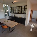Rent 5 bedroom apartment of 140 m² in Rosignano Marittimo
