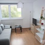 Rent 2 bedroom apartment of 36 m² in Opole