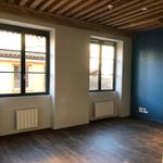 Rent 1 bedroom apartment of 28 m² in Lyon