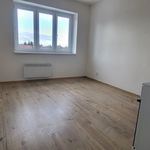 Rent 1 bedroom apartment of 21 m² in Stonava