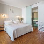 Rent 1 bedroom apartment of 30 m² in Malovice