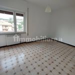 Rent 4 bedroom apartment of 90 m² in Grottaferrata