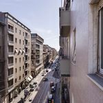 Rent a room of 210 m² in Milano