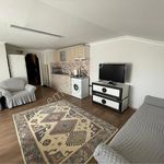 Rent 1 bedroom apartment of 105 m² in Esenler