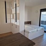 Rent 1 bedroom apartment of 52 m² in Brno