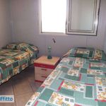 Rent 3 bedroom house of 55 m² in Marsala