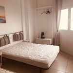 Rent 2 bedroom apartment of 51 m² in Las Palmas
