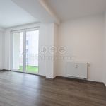 Rent 4 bedroom apartment of 70 m² in Karlovy Vary