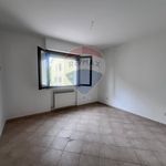 Affitto 4 camera appartamento di 90 m² in Castelbellino
