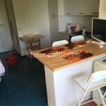 Rent 1 bedroom apartment of 40 m² in Pesaro