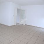 Rent 3 bedroom apartment of 71 m² in Blagnac