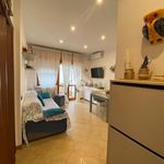 Rent 2 bedroom apartment of 50 m² in Terracina
