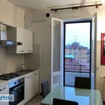 Rent 2 bedroom apartment of 50 m² in Bologna