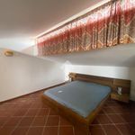 Affitto 4 camera casa di 140 m² in Bari