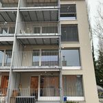 Rent 5 bedroom apartment in Konolfingen