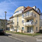 Rent 1 bedroom apartment of 30 m² in Dresden