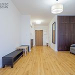 Rent 1 bedroom apartment of 34 m² in Łódź