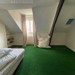 Rent 8 bedroom apartment of 201 m² in Saint-Laurent-Nouan