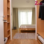 Rent 2 bedroom apartment of 60 m² in Cologne, Urban District