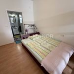 Najam 3 spavaće sobe stan od 110 m² u Primorsko-goranska