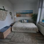 Rent 1 bedroom apartment of 45 m² in Chemnitz