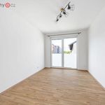 Rent 2 bedroom apartment of 63 m² in Plzeň