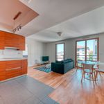 Appartement de 40 m² avec 1 chambre(s) en location à Lyon