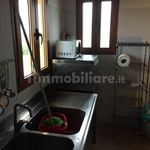 Rent 5 bedroom apartment of 30 m² in Siena