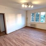 Rent 1 bedroom apartment of 55 m² in Duchcov