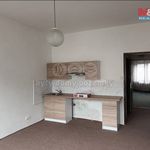 Rent 1 bedroom apartment of 28 m² in Železný Brod