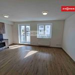 Rent 1 bedroom apartment of 38 m² in Uherské Hradiště