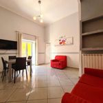 Rent 3 bedroom apartment of 85 m² in Roma