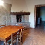 Rent 3 bedroom house of 55 m² in Florence